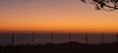 Enlarge photo 156
