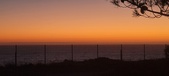 Enlarge photo 159