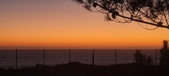Enlarge photo 160