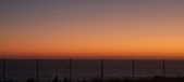 Enlarge photo 161