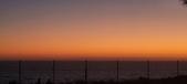 Enlarge photo 165