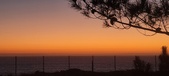 Enlarge photo 164