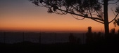 Enlarge photo 162