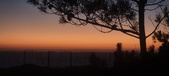 Enlarge photo 166