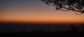 Enlarge photo 167