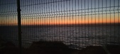 Enlarge photo 193