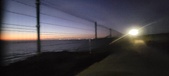 Enlarge photo 195