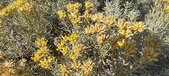 Enlarge photo 211
