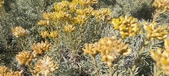 Enlarge photo 212