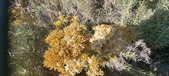 Enlarge photo 214