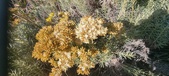 Enlarge photo 213