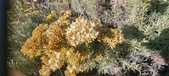 Enlarge photo 215
