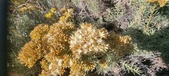 Enlarge photo 216