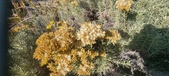 Enlarge photo 219