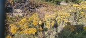 Enlarge photo 220