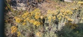 Enlarge photo 221