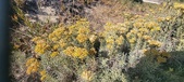 Enlarge photo 222