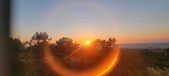 Enlarge photo 223