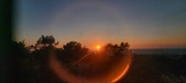 Enlarge photo 224