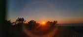 Enlarge photo 225