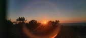 Enlarge photo 226