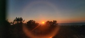 Enlarge photo 227