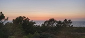 Enlarge photo 228