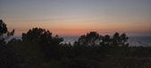 Enlarge photo 229