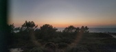 Enlarge photo 231