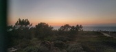 Enlarge photo 232