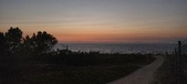 Enlarge photo 233