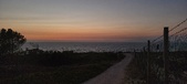 Enlarge photo 237
