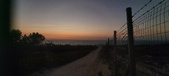 Enlarge photo 241