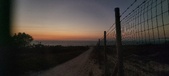 Enlarge photo 243