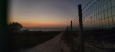 Enlarge photo 244
