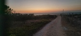 Enlarge photo 246