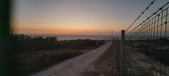 Enlarge photo 250