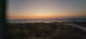 Enlarge photo 255