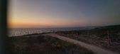 Enlarge photo 256