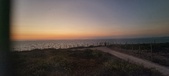Enlarge photo 259