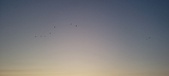 Enlarge photo 261