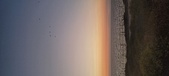 Enlarge photo 263