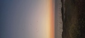 Enlarge photo 264