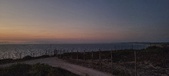 Enlarge photo 275