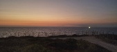 Enlarge photo 282
