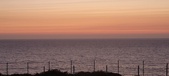 Enlarge photo 287