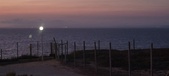 Enlarge photo 289