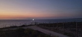 Enlarge photo 290