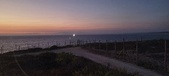 Enlarge photo 291
