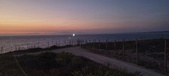 Enlarge photo 292
